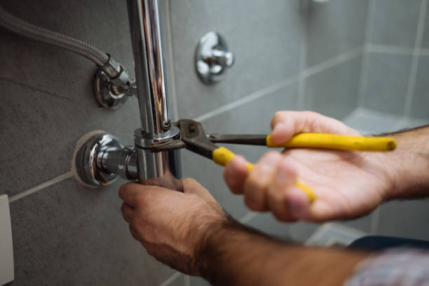 Best Plumbing Repair Near Me  in Novi, MI